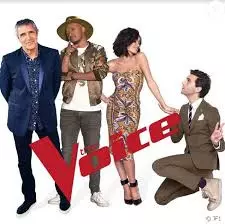 THE VOiCE 8 (2019) - Saison 8 Episode 2 Prime 2 Les Auditions à l'aveugle 2 du Samedi 16 février 2019