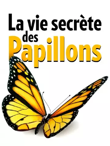 La vie secrète des papillons