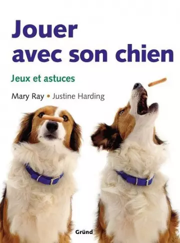 Jouer avec son chien  Jeux et astuces