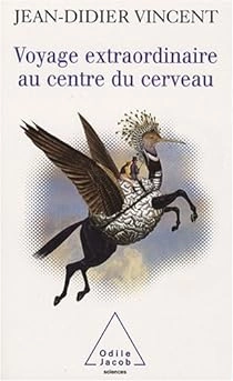 Voyage extraordinaire au centre du cerveau