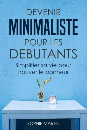 DEVENIR MINIMALISTE POUR LES DÉBUTANTS