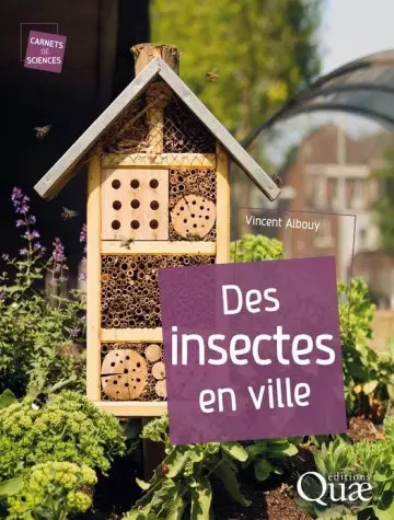 Des insectes en ville