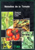 Maladies de la tomate