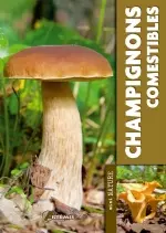 Champignons comestibles