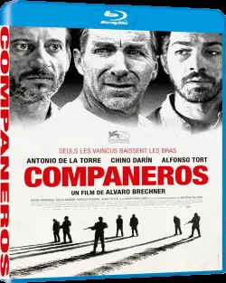 Compañeros