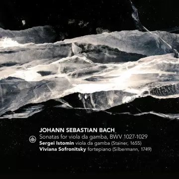 Bach - Sonatas for Viola da Gamba, BWV 1027-1029 - Sergei Istomin & Viviana Sofronitsky