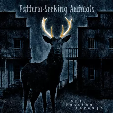 Pattern-Seeking Animals - Only Passing Through