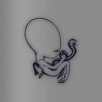 Sigur Rós - Ágætis byrjun - A Good Beginning (20th Anniversary Deluxe Edition)